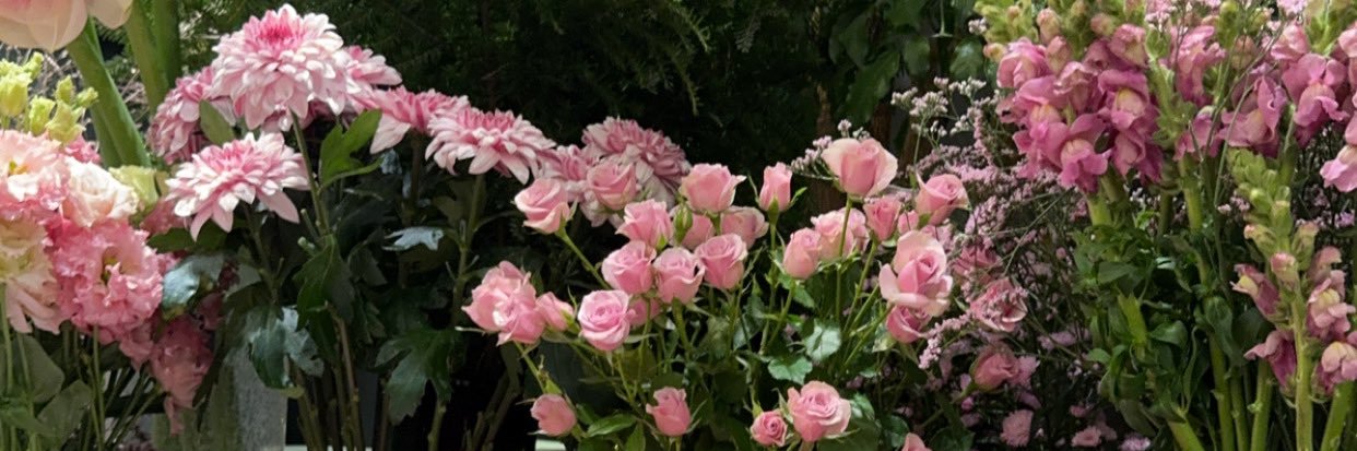 mon's banner