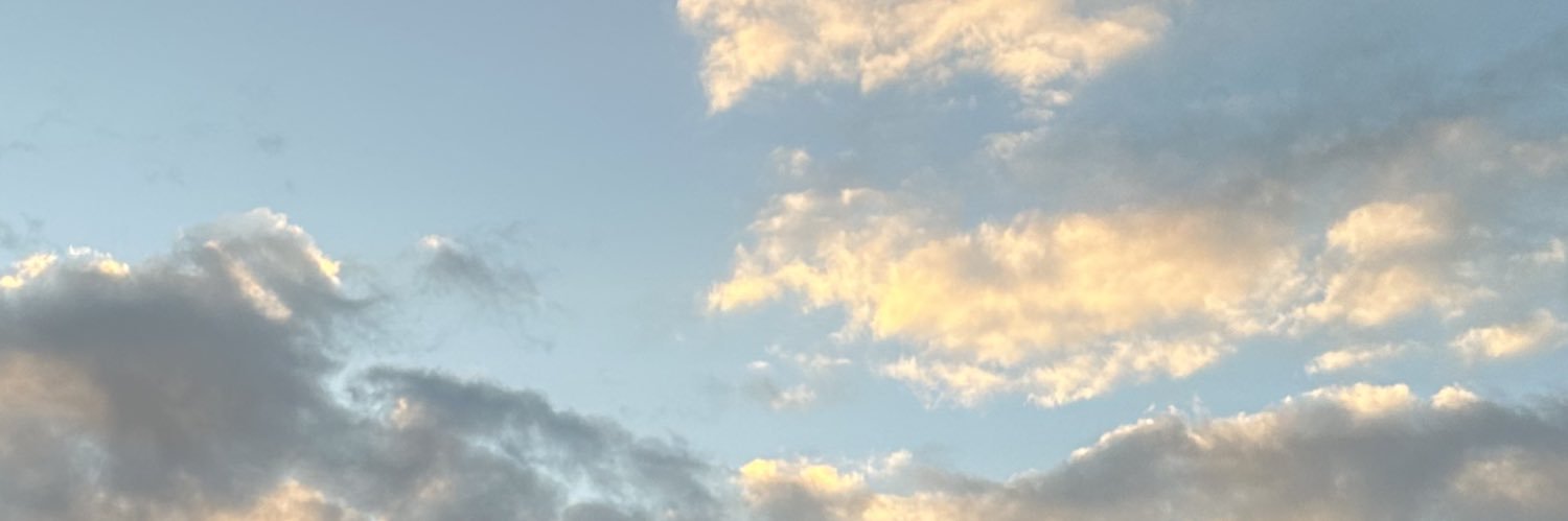 ychavezs's profile banner image