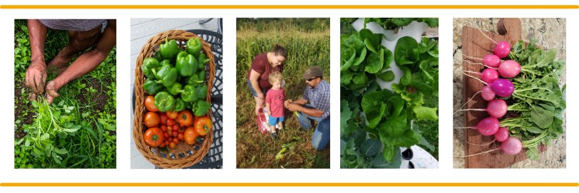 Minority & Veteran Farmers of the Piedmont banner