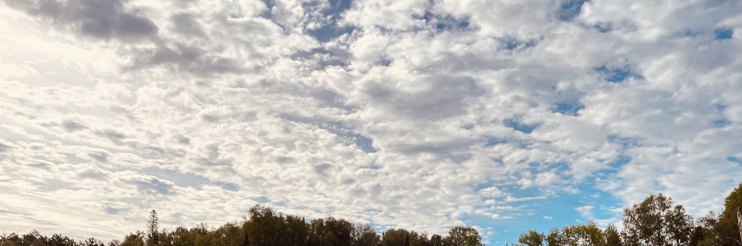 lexi_hessler's profile banner image