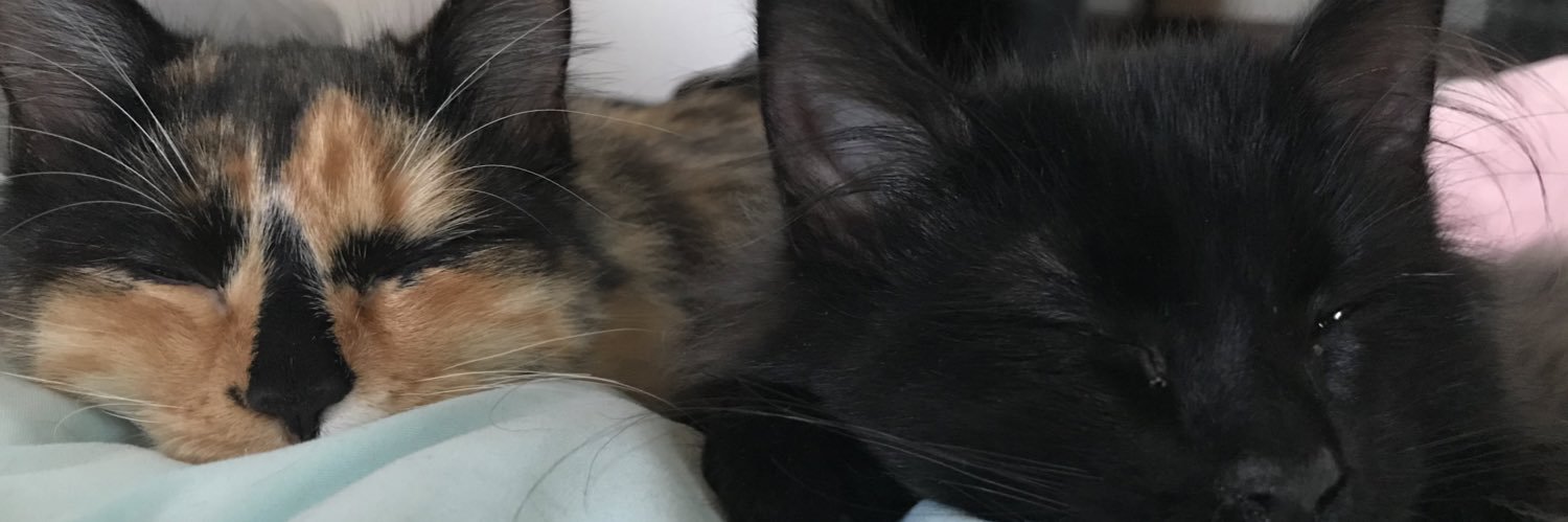 callherdreaa's profile banner image