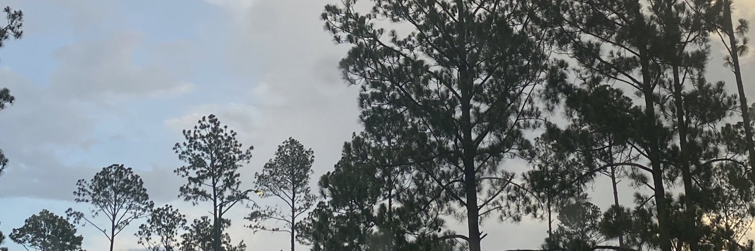 Fire🍄 banner