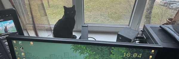NAYLLACS Profile Banner