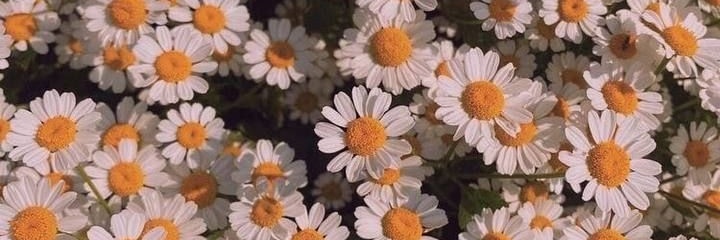 tinatanata's profile banner image