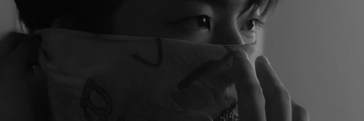 95 banner