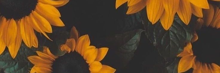sooeli_88's profile banner image