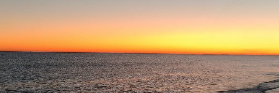 dulsaro's profile banner image