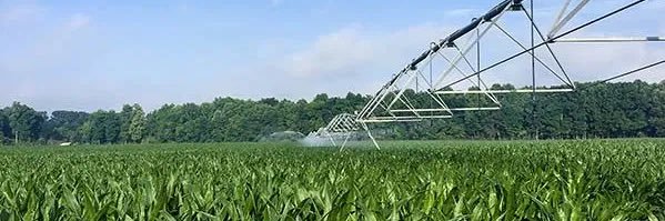 Travis Harrison banner