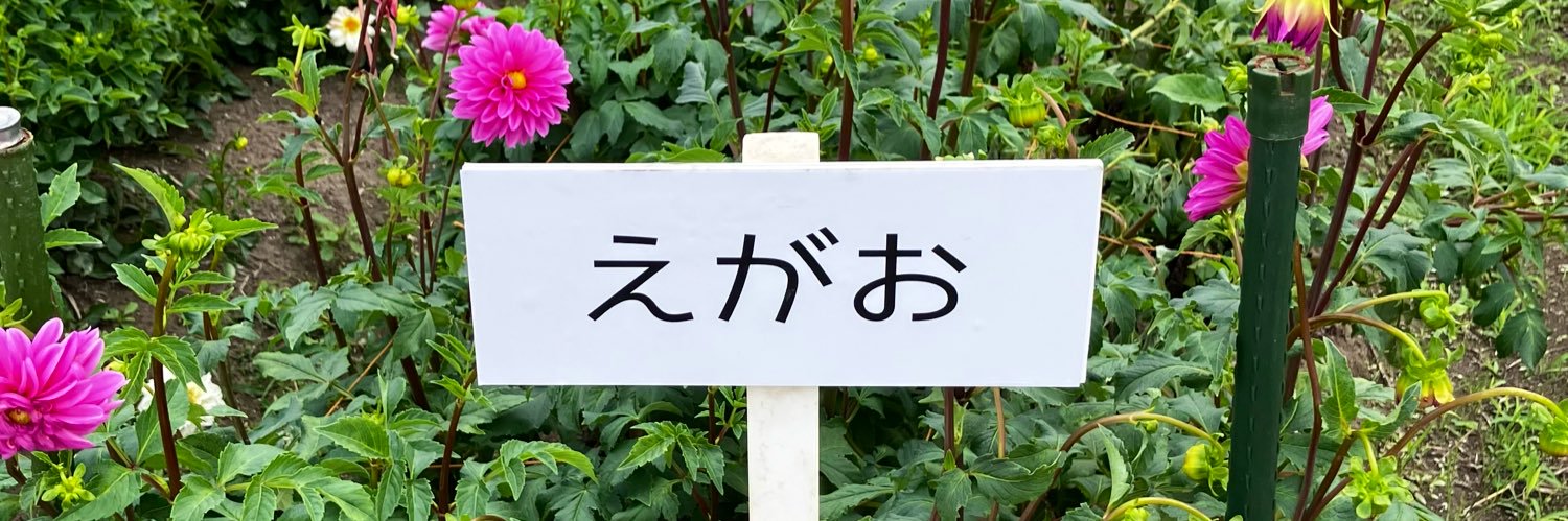 めとりみっち banner