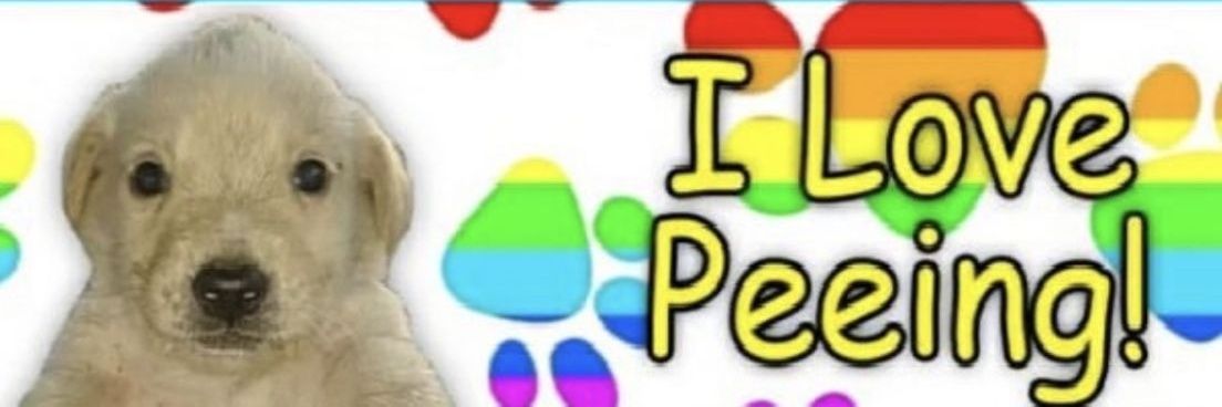 UrineBoss's profile banner image