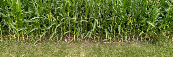 PBiocontrol Profile Banner