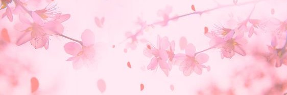 ICharnami's profile banner image