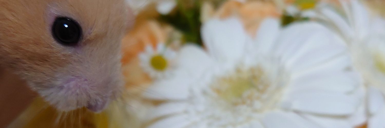 mmtm17's profile banner image