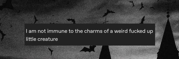 skeIetas Profile Banner