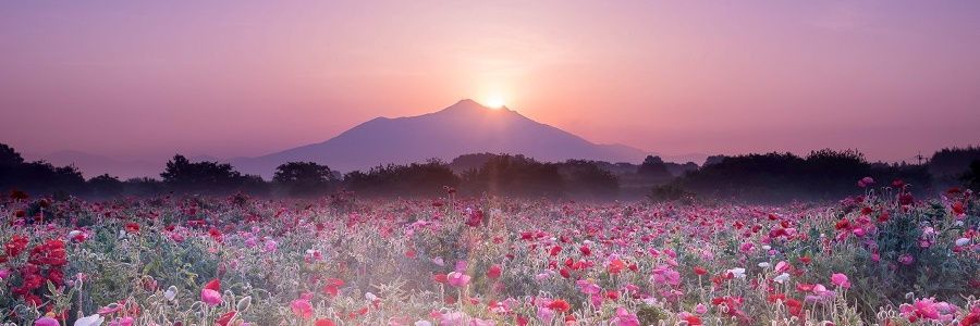 MITO2913's profile banner image