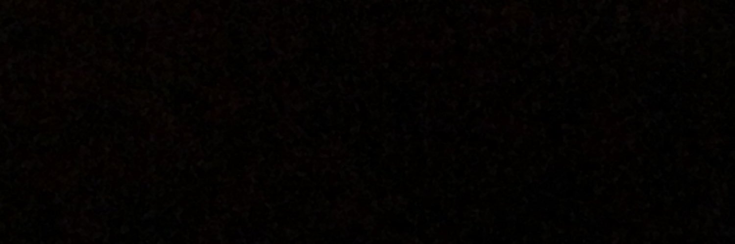 LizLu98's profile banner image