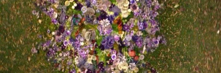 Cbs_sofs's profile banner image