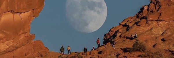 cryptododo7 Profile Banner