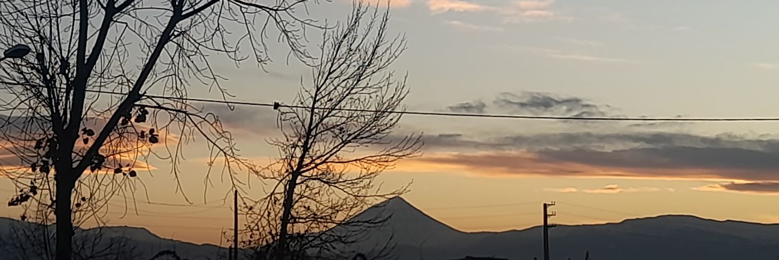 panzpax's profile banner image