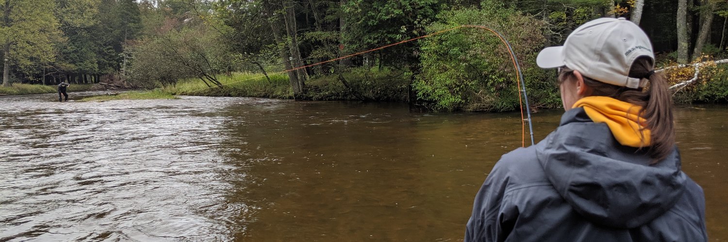 Jessica Cunningham PhD banner