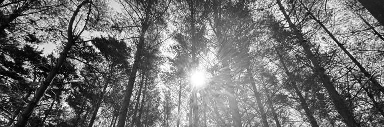 The_SamR's profile banner image