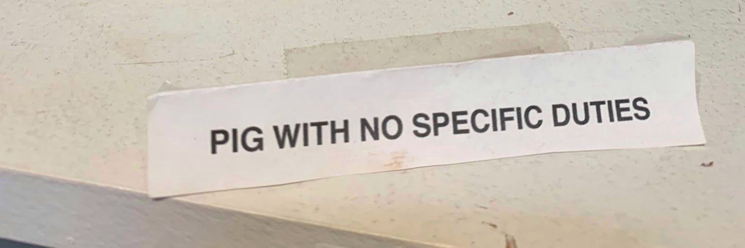 Coelho Do Diabo De Alta Velocidade · 🇵🇸 banner