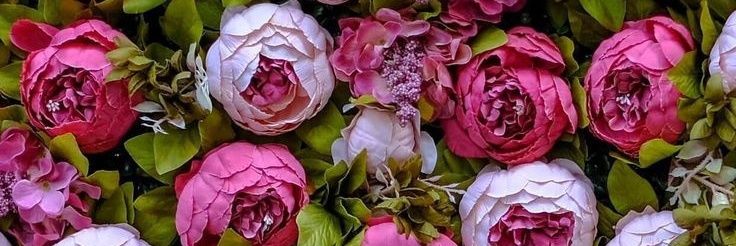 Marga 🌺🌸⚘🌹🌻🌼🌷🏵🥀💐 banner