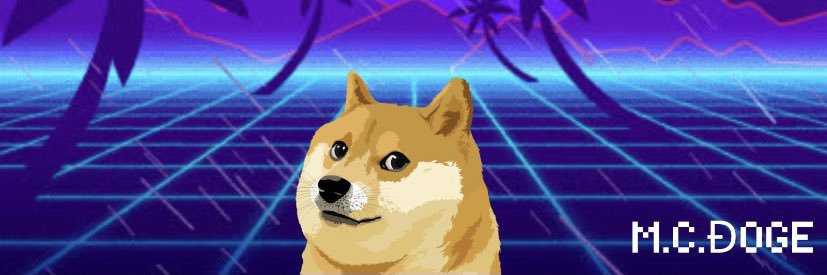 Irandogecoin's profile banner image