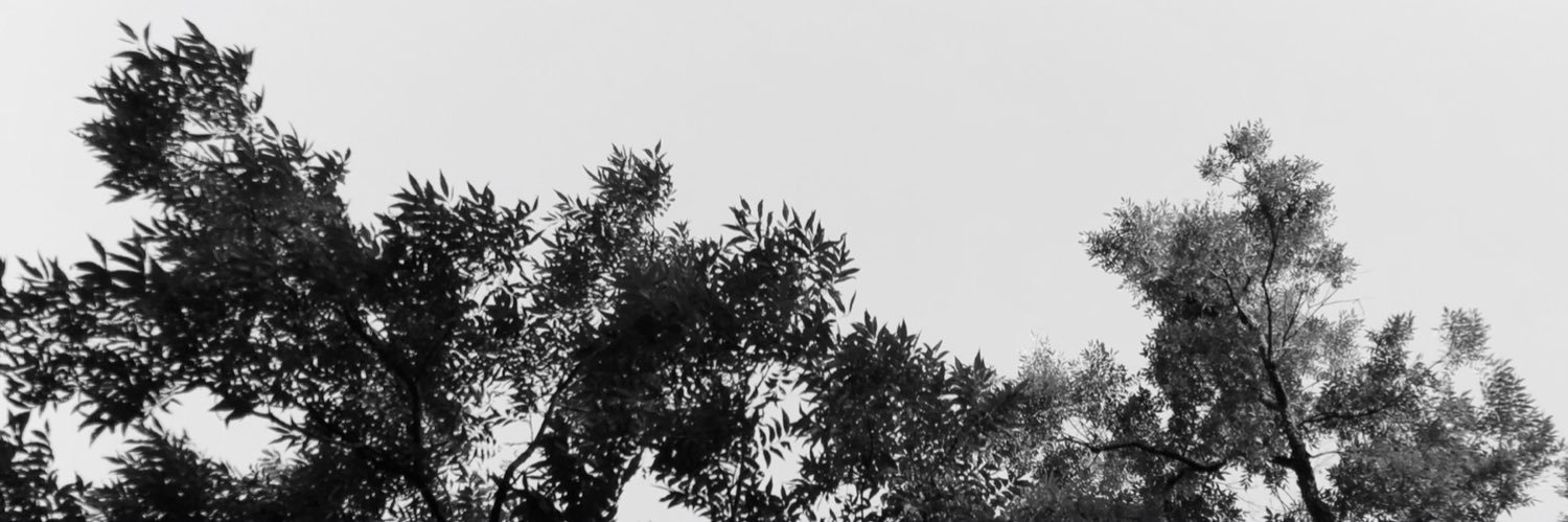mcortez222's profile banner image