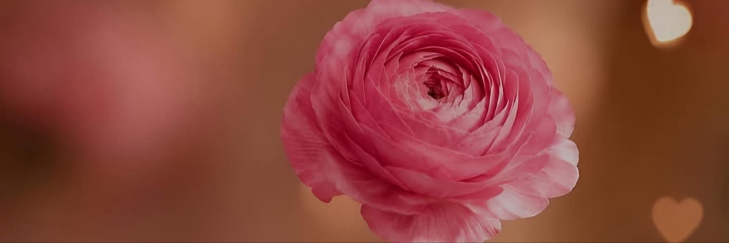 dr_hh20's profile banner image