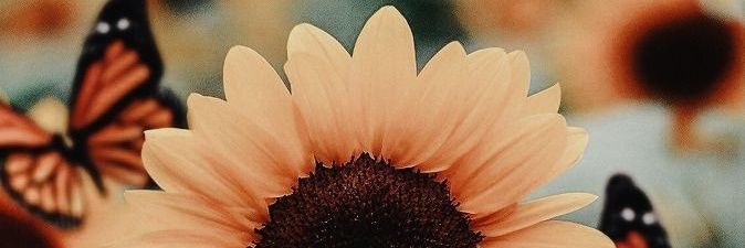 Heatherfs21's profile banner image