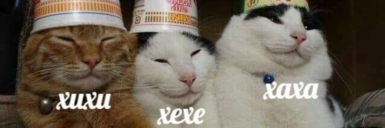Мем с котом ха