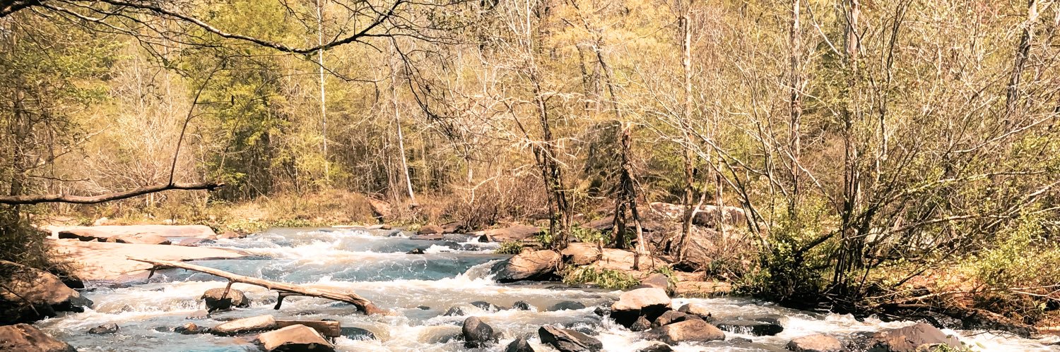 McKennaBroadus's profile banner image
