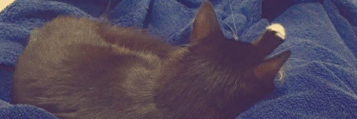 __MGaby's profile banner image
