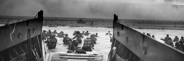 warishellstore Profile Banner