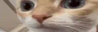 fisskrj's profile banner image