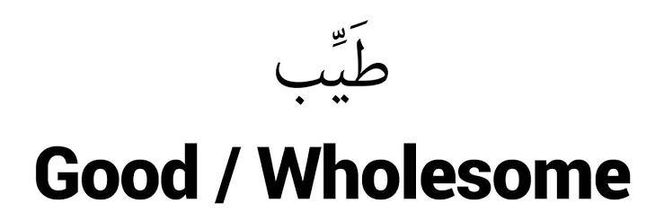 Tayyib 💐🇬🇧🥰𝕏's banner