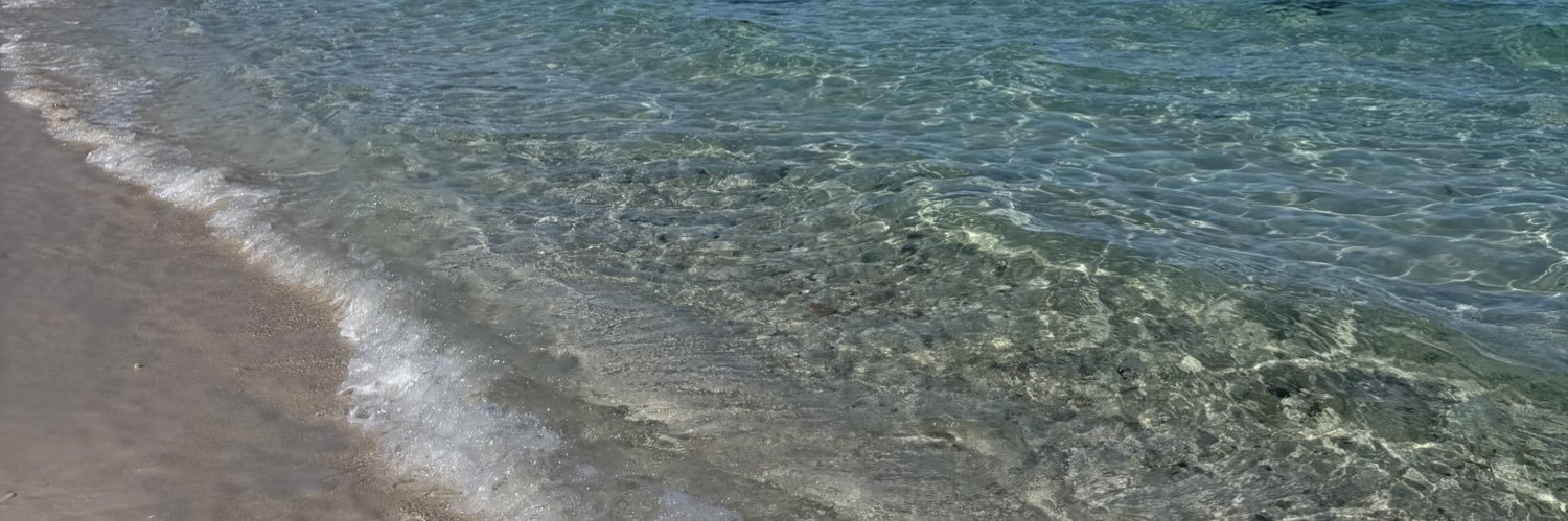 Amy Earnhardt banner