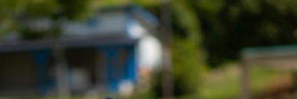 nanase230230 Profile Banner