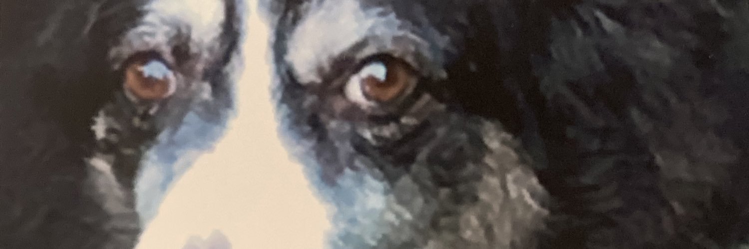CollieMadHT 💙💜💚 & Poppy 🐾 banner