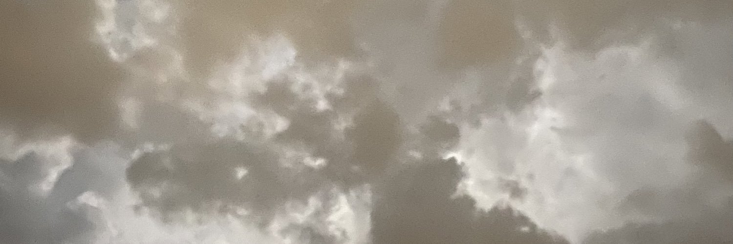l17l19's profile banner image