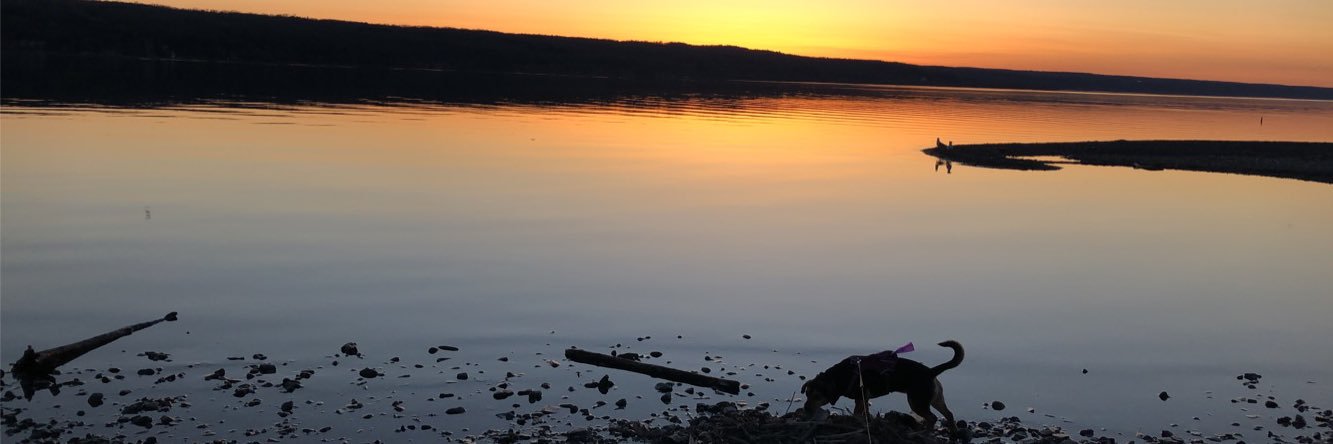 RobbieDWilliams's profile banner image