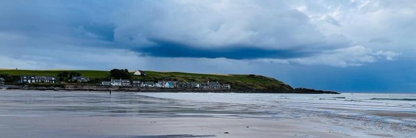 barb_davies Profile Banner