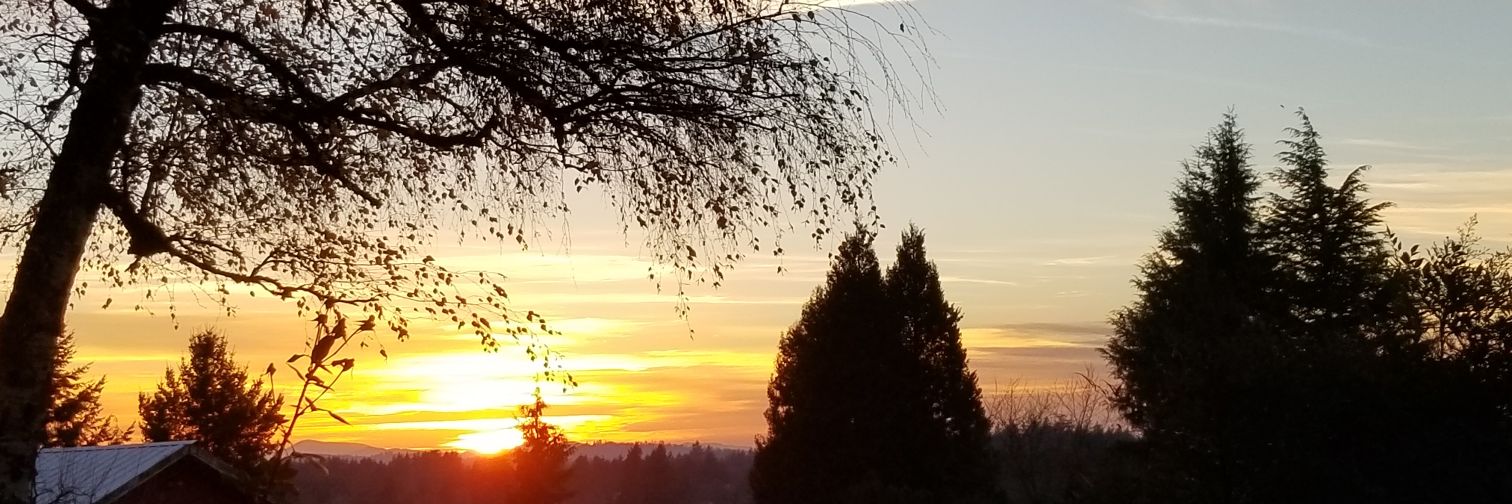 Tyler_Bryant4's profile banner image