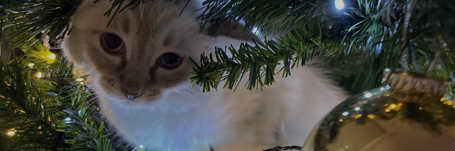 tess dort partout banner