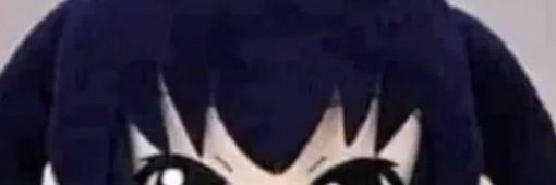 koxkox32 banner