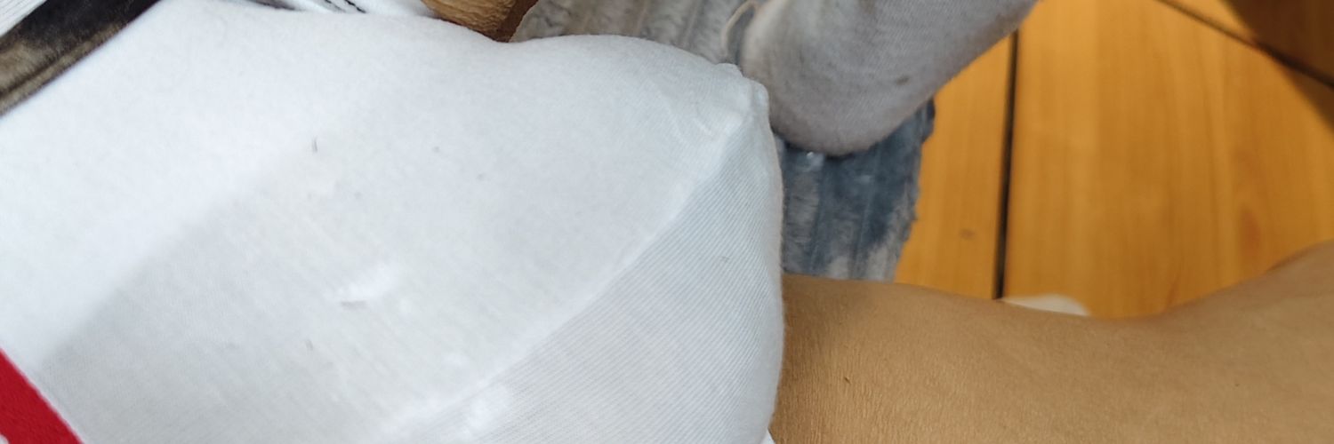 Khanのワガママ banner