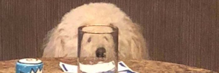 ; banner