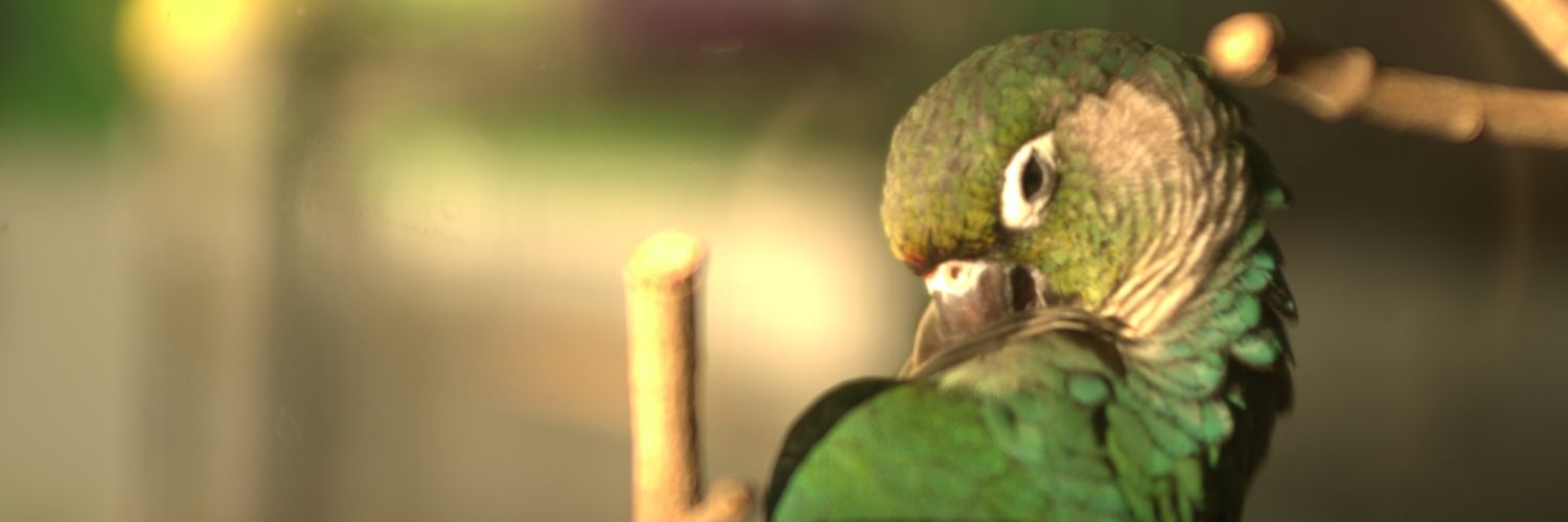 muminn4's profile banner image