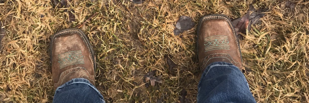 Gen_Leo1's profile banner image